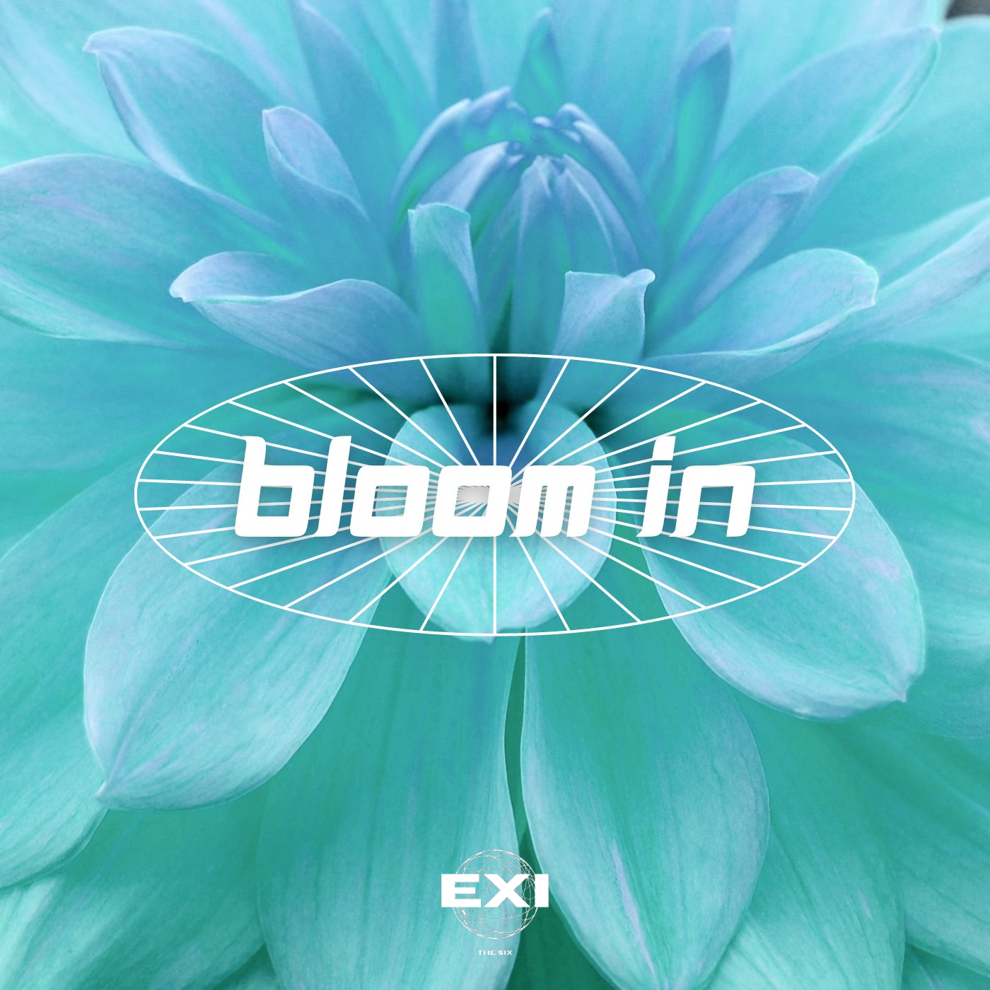 Blooming Blue, Kpop Wiki