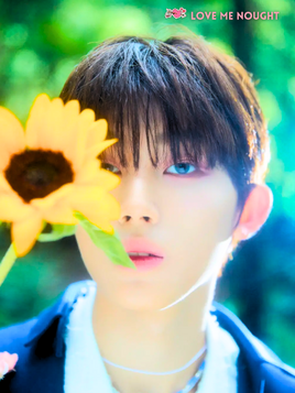 Doyun LMN 2