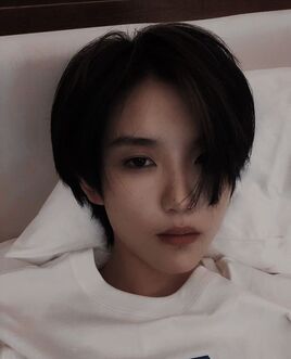 Shuchen2