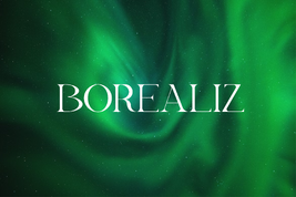 BOREALIZ Logo