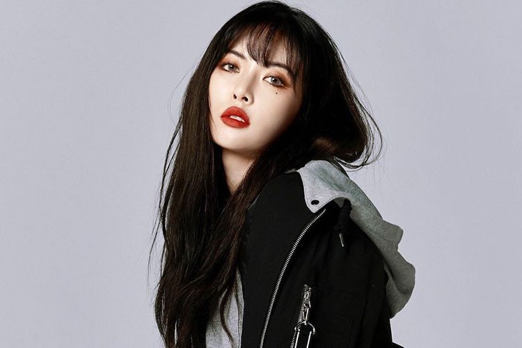 idol manager wiki idol manager wiki