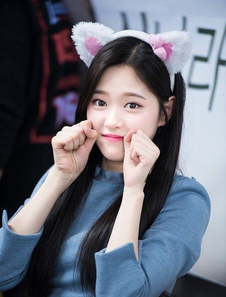 idol manager wiki idol manager wiki