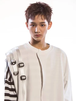 Blink Kpop Wiki Fandom