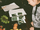 Zico and Jennie Spot! recording image 1.png