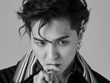 Mino