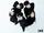 DIGNITY bnt March 2024 (5).png