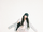 IVE Jang Wonyoung IVE Empathy concept photo 2.webp