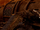 Dreamcatcher Apocalypse Save us Mystery Code.png
