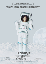 2018 Apink Concert <Pink Space>