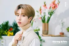 Stray Kids Han 2022 Season's Greetings group teaser photo.webp (672 KB) 2022 Season's Greetings <Garden in Room>