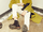 UP10TION Jinhoo Bravo! photo.png