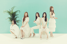 CLC Question group photo