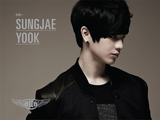 Yook Sungjae/Gallery