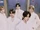 NOWADAYS Let's Get It group concept photo 5.png