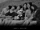 Berry Good Free Travel album packaging.png