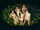 (G)I-DLE Heat concept photo 2.webp