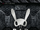 BAP Warrior cover.png