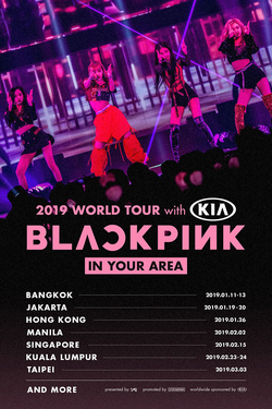 BLACKPINK 2019-2020 World Tour 'In Your Area' | Kpop Wiki | Fandom