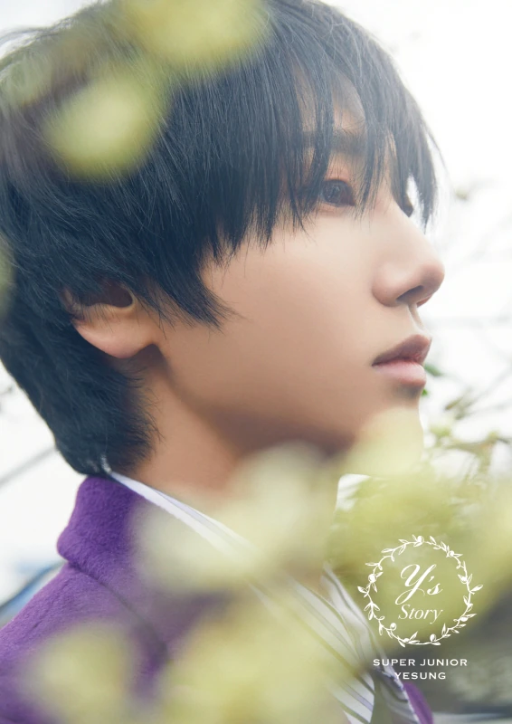 Story (Yesung) | Kpop Wiki | Fandom