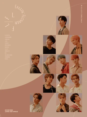 SEVENTEEN 日本 3RD SINGLE FALLIN' FLOWER Maiochiruhanabira (Fallin' Flower) - YouTube