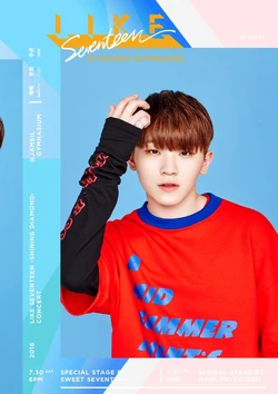 ウジ woozi Shining Diamond トレカ HOSHI WOOZI ホシウジ WARNING カラットゾーントレカ - メルカリ