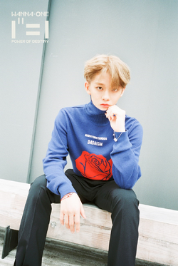 中古コレクションカード(男性) Wanna One/ペ・ジニョン(Bae Jin