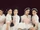Red Velvet para The ReVe Festival 2022 - Feel My Rhythm 4.png