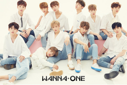 割引価格 Wanna Fandom | Wiki Kpop | One 名札・ホルダー
