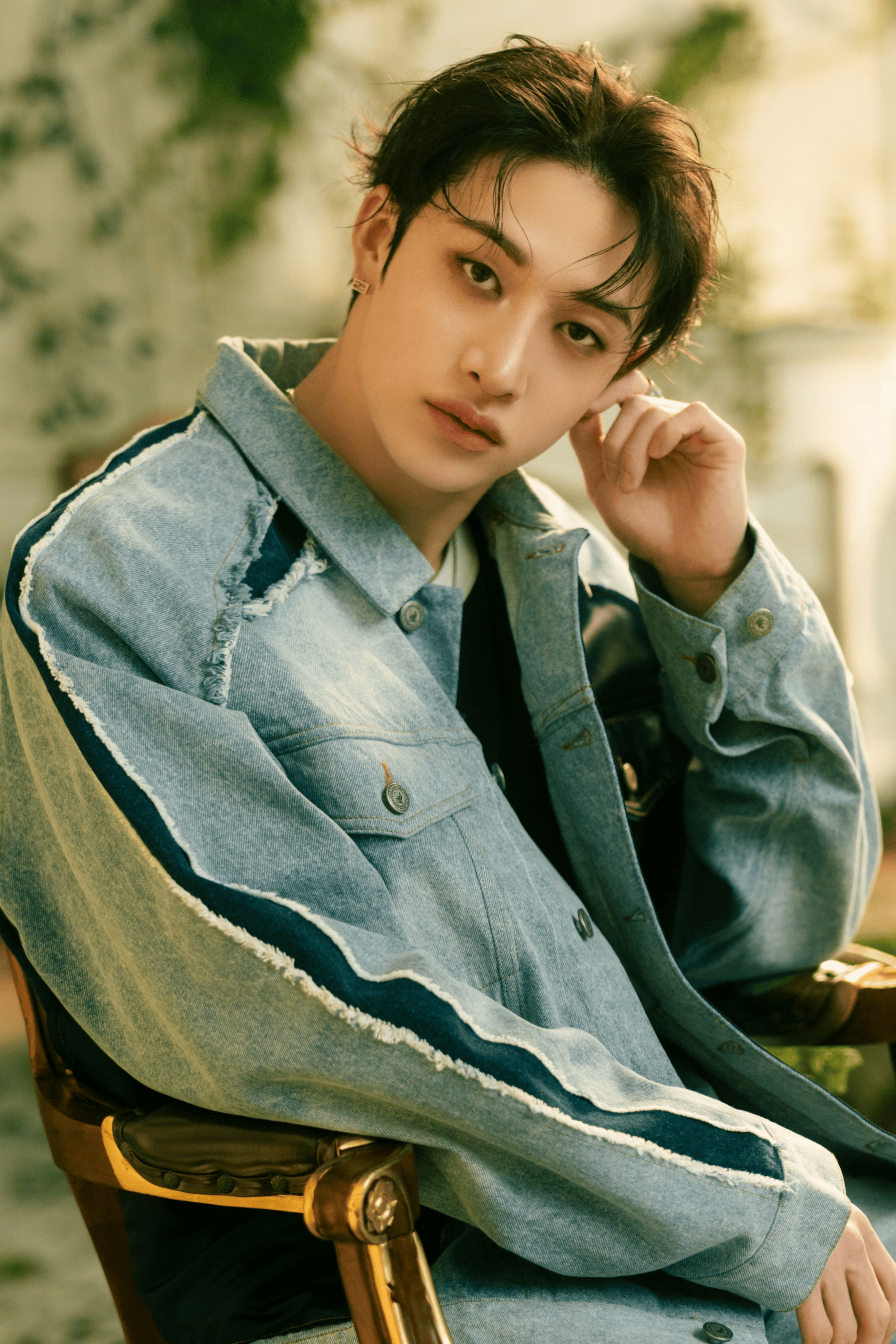 【通販 人気】 Bang Fandom | Wiki Kpop | Chan K-POP・アジア