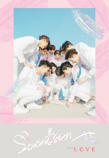 DINO signed album FML seventeen photocard 4 | eBay