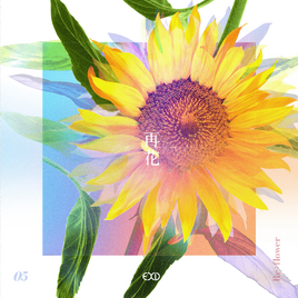 EXID Reflower Project 5 cover