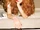 HyunA MAPS Vol. 107 pictorial (2017-04) (02).png