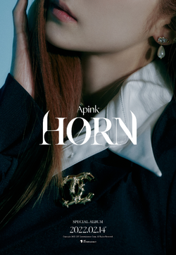 Horn | Kpop Wiki | Fandom