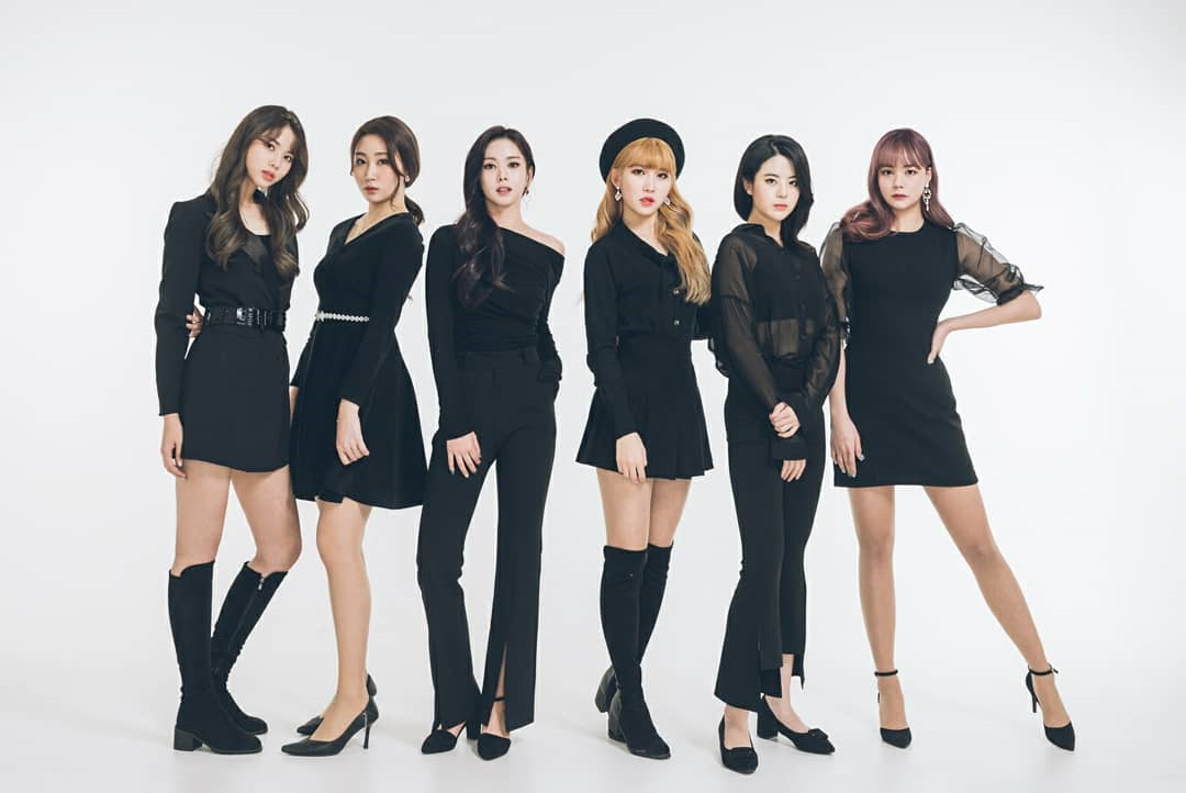 Blue Fox | Kpop Wiki | Fandom