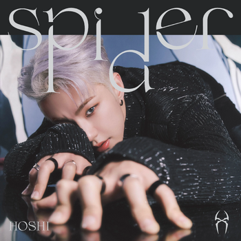 Hoshi Spider album cover