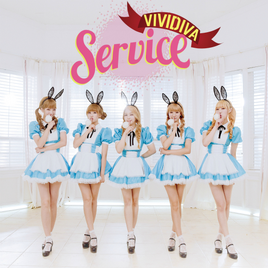 VIVIDIVA Service cover