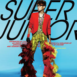 Ryeowook ver.