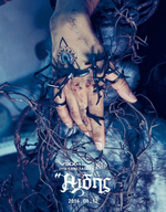 Teaser (2)