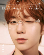 D'ICON (Vol. 29) (2)