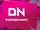 DN Entertainment