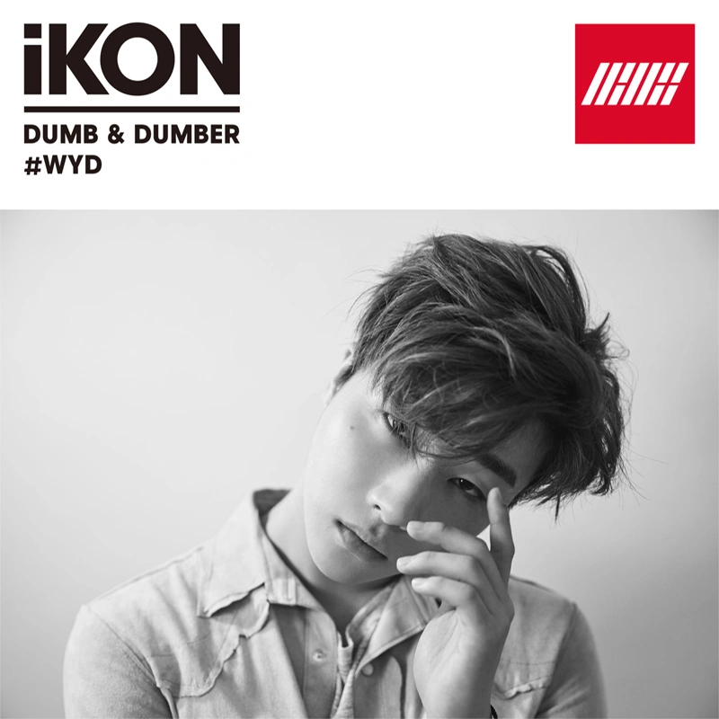 Dumb & Dumber | Kpop Wiki | Fandom
