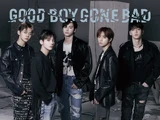 Good Boy Gone Bad