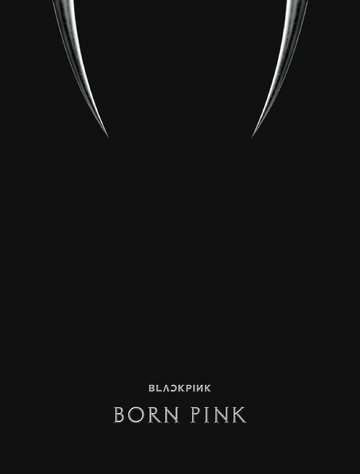 ロゼ】新品未使用 BLACKPINK WORLD TOUR BORN PINK うちわ