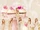 Apink Pink Doll limited edition B cover art.png