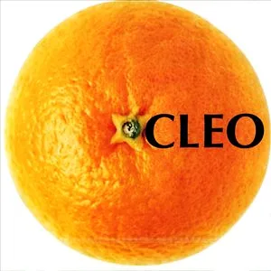 Cleo (album) | Kpop Wiki | Fandom