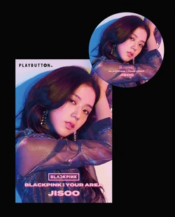 BLACKPINK In Your Area | K-pop вики | Fandom