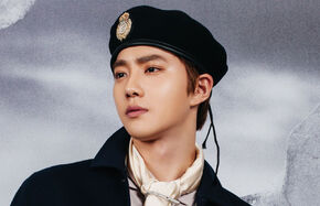 Suho para DMMT