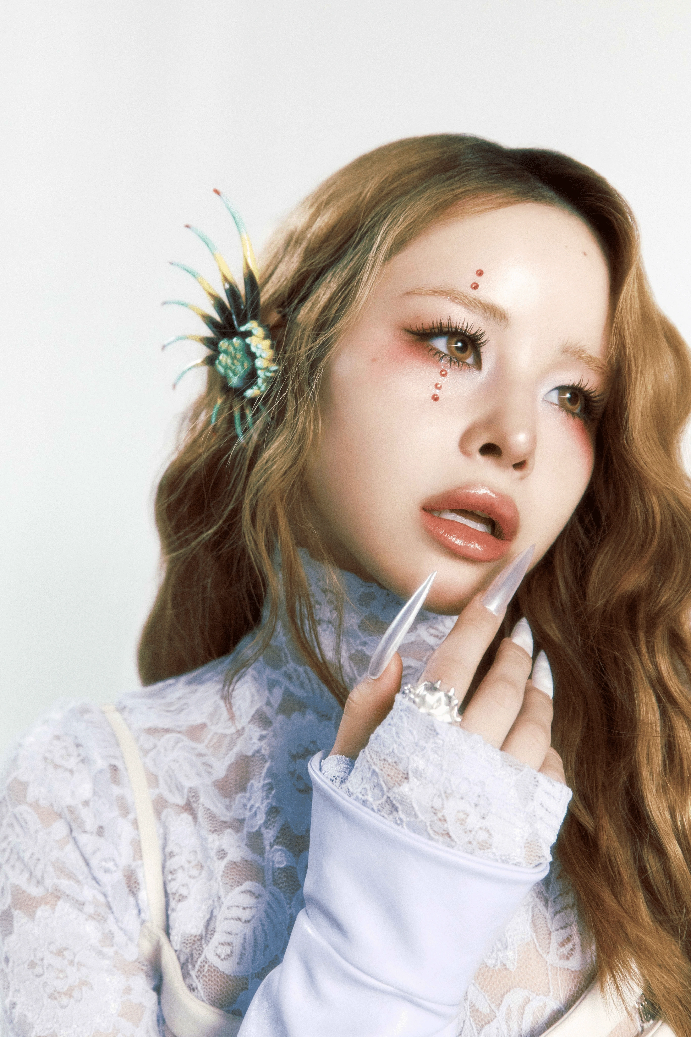 Harvey | Kpop Wiki | Fandom