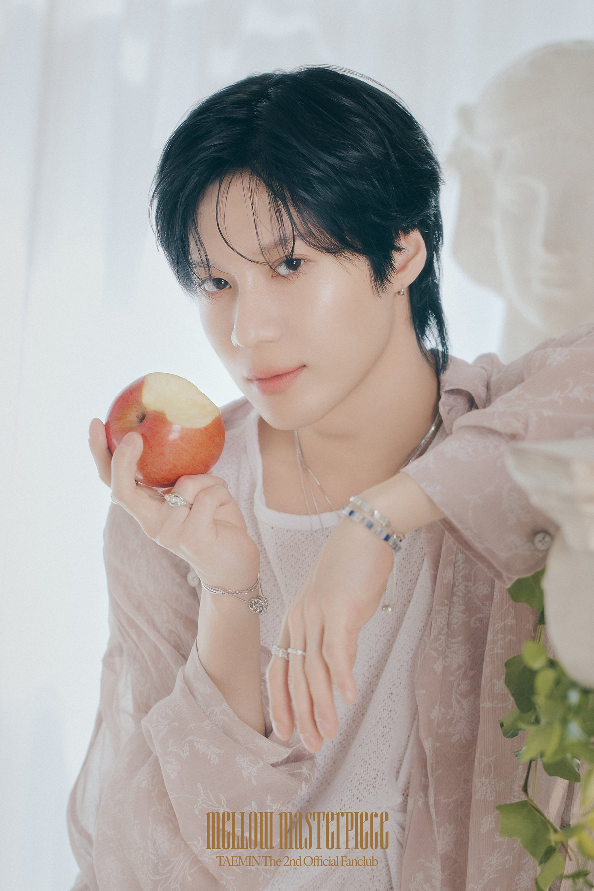 SHINee TAEMIN ポラロイド 公式 TAEMIN for WAVES magazine Dec 2023 preview