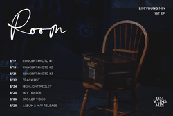 【新品未開封・まとめ売り】LIM YOUNG MIN / ROOM（10枚） hq720.jpg?sqp=-